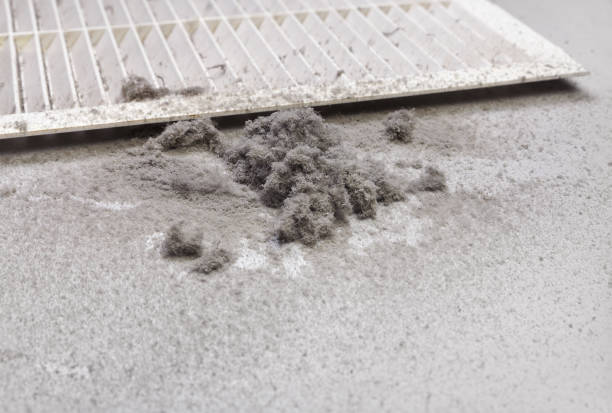 Best Duct Cleaning for Homes  in South Deerfield, MA