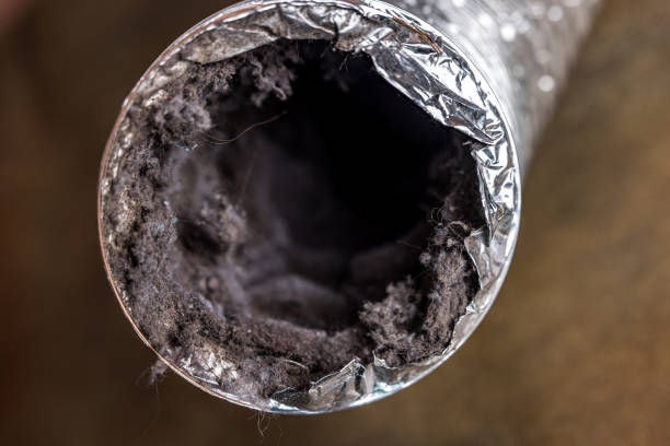 Best Ductwork Cleaning Services  in South Deerfield, MA