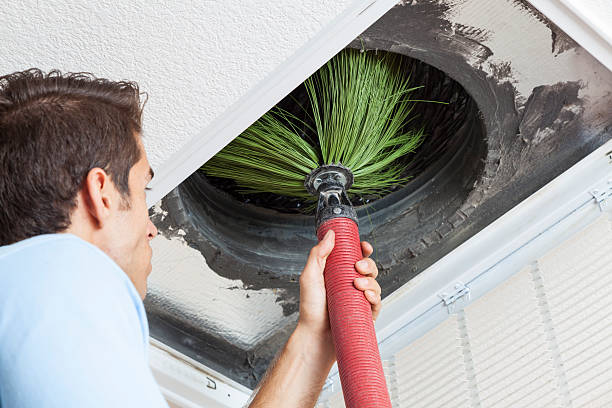 Best Affordable Air Duct Cleaning  in South Deerfield, MA